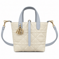 Dior Rose des Vents Mini Tote Bag with Two-Tone Handles and Removable Strap
